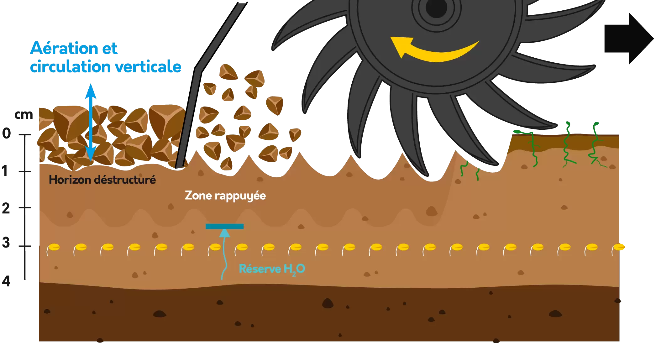 schema effet agronomique houe rotative